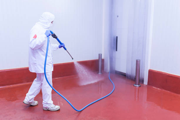 Best House Exterior Washing  in Garden City, NY